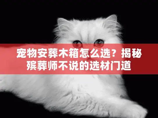 宠物安葬木箱怎么选？揭秘殡葬师不说的选材门道