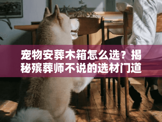 宠物安葬木箱怎么选？揭秘殡葬师不说的选材门道