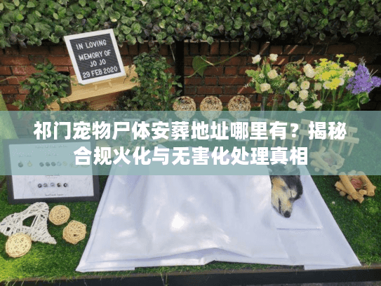 祁门宠物尸体安葬地址哪里有?揭秘合规火化与无害化处理真相 祁门宠物尸体安葬地址哪里有?揭秘合规火化与无害化处理真相