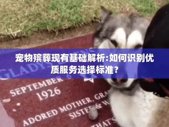 宠物殡葬现有基础解析:如何识别优质服务选择标准？