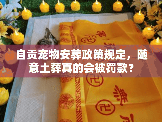 自贡宠物安葬政策规定，随意土葬真的会被罚款？