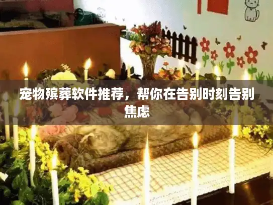 宠物殡葬软件推荐，帮你在告别时刻告别焦虑