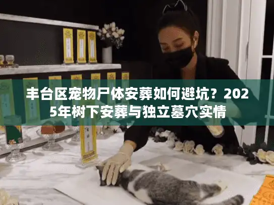 丰台区宠物尸体安葬如何避坑？2025年树下安葬与独立墓穴实情