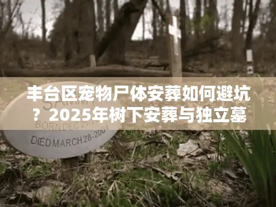 丰台区宠物尸体安葬如何避坑？2025年树下安葬与独立墓穴实情