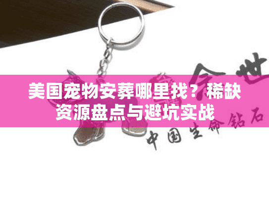 美国宠物安葬哪里找？稀缺资源盘点与避坑实战
