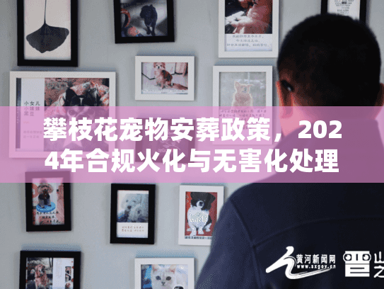 攀枝花宠物安葬政策，2024年合规火化与无害化处理全解