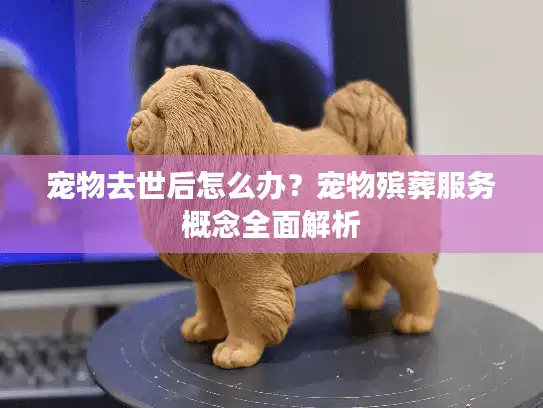 宠物去世后怎么办？宠物殡葬服务概念全面解析