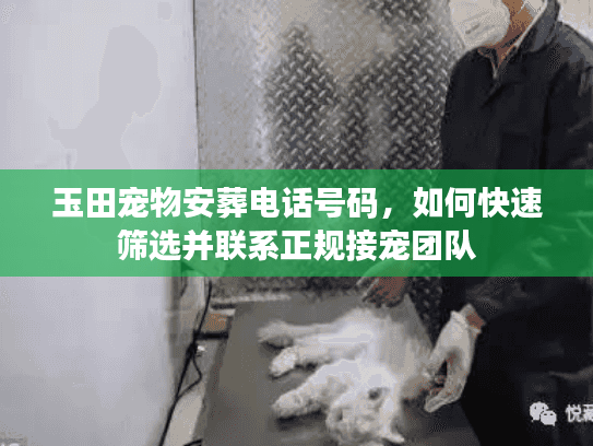 玉田宠物安葬电话号码，如何快速筛选并联系正规接宠团队
