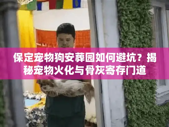 保定宠物狗安葬园如何避坑？揭秘宠物火化与骨灰寄存门道
