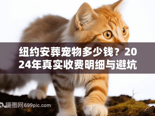 纽约安葬宠物多少钱？2024年真实收费明细与避坑实录