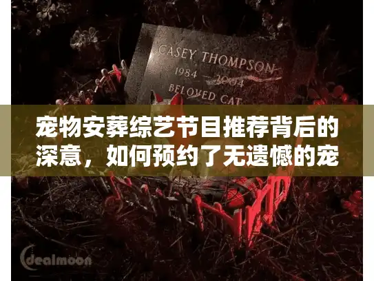 宠物安葬综艺节目推荐背后的深意，如何预约了无遗憾的宠物善终服务