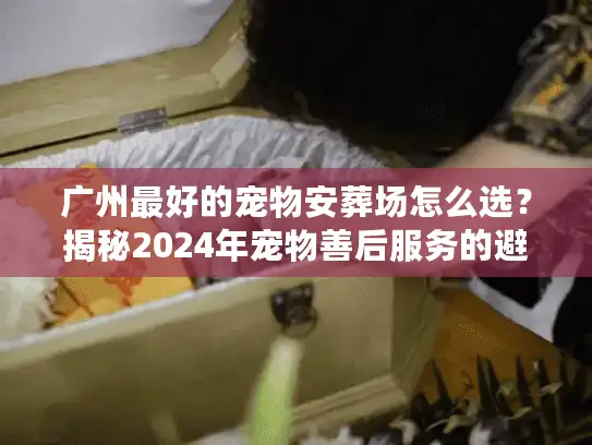 广州最好的宠物安葬场怎么选？揭秘2024年宠物善后服务的避坑真相