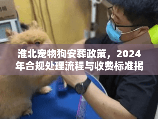 淮北宠物狗安葬政策，2024年合规处理流程与收费标准揭秘