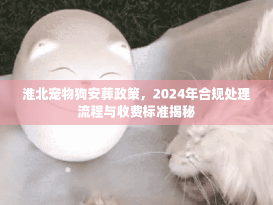 淮北宠物狗安葬政策，2024年合规处理流程与收费标准揭秘
