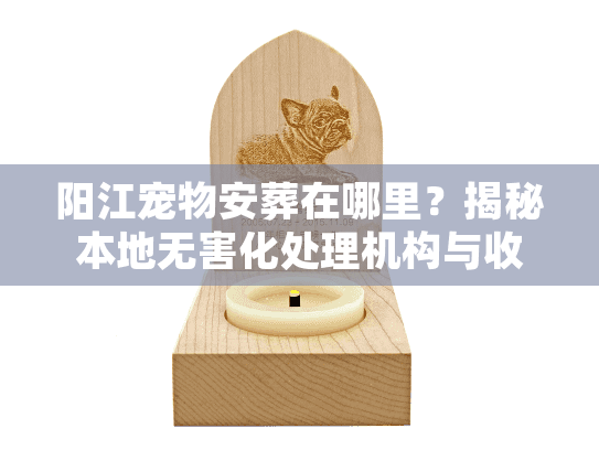 阳江宠物安葬在哪里?揭秘本地无害化处理机构与收费标准 阳江宠物安葬在哪里?揭秘本地无害化处理机构与收费标准