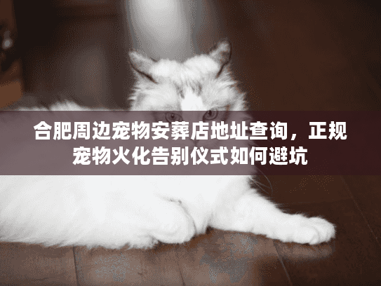 合肥周边宠物安葬店地址查询,正规宠物火化告别仪式如何避坑 合肥周边宠物安葬店地址查询,正规宠物火化告别仪式如何避坑