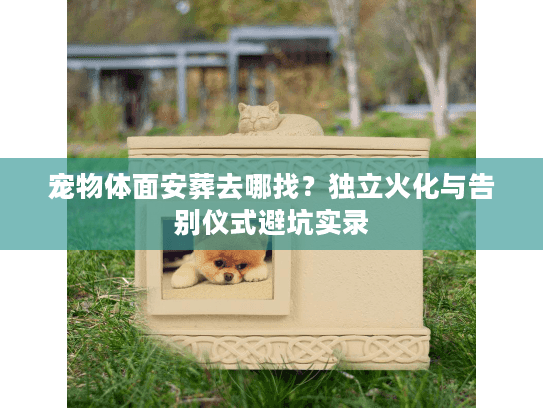 宠物体面安葬去哪找？独立火化与告别仪式避坑实录