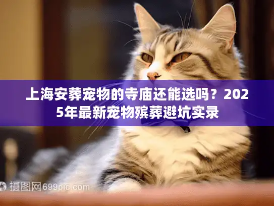 上海安葬宠物的寺庙还能选吗?2025年最新宠物殡葬避坑实录 上海安葬宠物的寺庙还能选吗?2025年最新宠物殡葬避坑实录