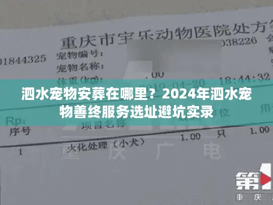 泗水宠物安葬在哪里?2024年泗水宠物善终服务选址避坑实录 泗水宠物安葬在哪里?2024年泗水宠物善终服务选址避坑实录