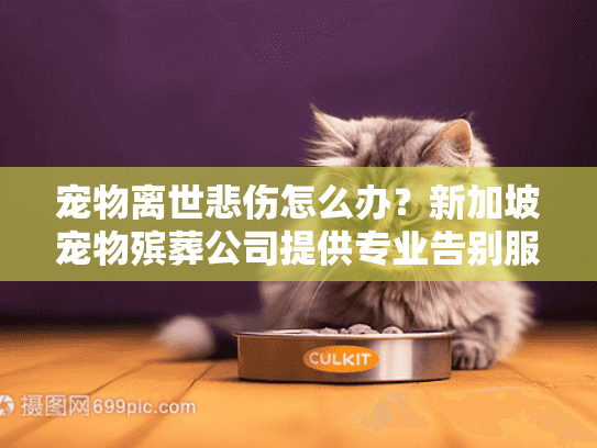 宠物离世悲伤怎么办？新加坡宠物殡葬公司提供专业告别服务