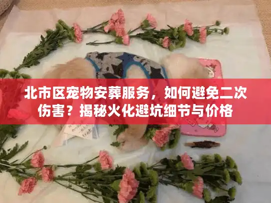 北市区宠物安葬服务，如何避免二次伤害？揭秘火化避坑细节与价格