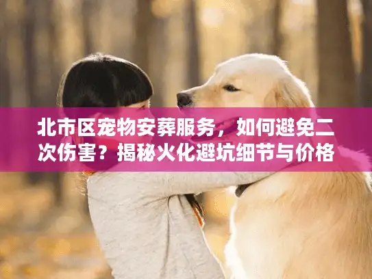 北市区宠物安葬服务，如何避免二次伤害？揭秘火化避坑细节与价格