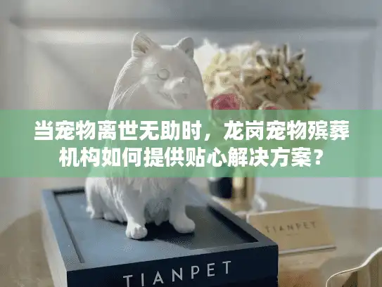 当宠物离世无助时，龙岗宠物殡葬机构如何提供贴心解决方案？