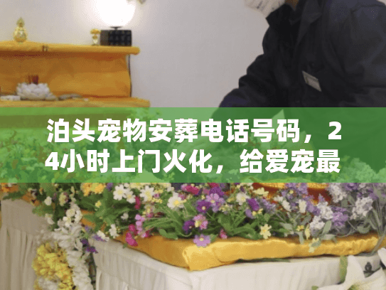 泊头宠物安葬电话号码，24小时上门火化，给爱宠最后的体面