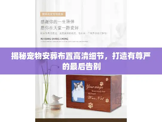 揭秘宠物安葬布置高清细节，打造有尊严的最后告别