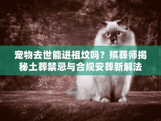 宠物去世能进祖坟吗？殡葬师揭秘土葬禁忌与合规安葬新解法