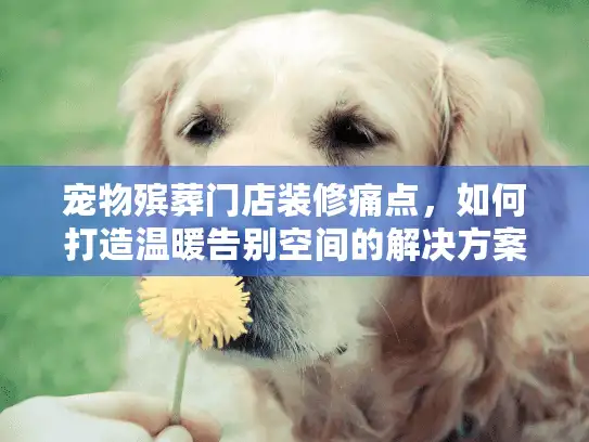 宠物殡葬门店装修痛点，如何打造温暖告别空间的解决方案