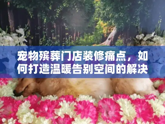 宠物殡葬门店装修痛点，如何打造温暖告别空间的解决方案