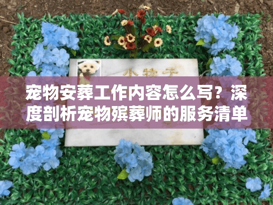 宠物安葬工作内容怎么写？深度剖析宠物殡葬师的服务清单
