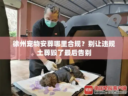 徐州宠物安葬哪里合规？别让违规土葬毁了最后告别