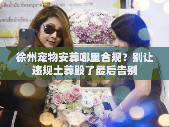 徐州宠物安葬哪里合规？别让违规土葬毁了最后告别
