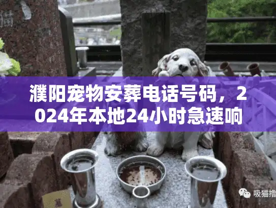 濮阳宠物安葬电话号码，2024年本地24小时急速响应与避坑实录