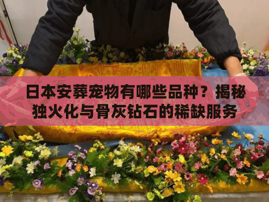 日本安葬宠物有哪些品种？揭秘独火化与骨灰钻石的稀缺服务