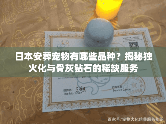 日本安葬宠物有哪些品种？揭秘独火化与骨灰钻石的稀缺服务