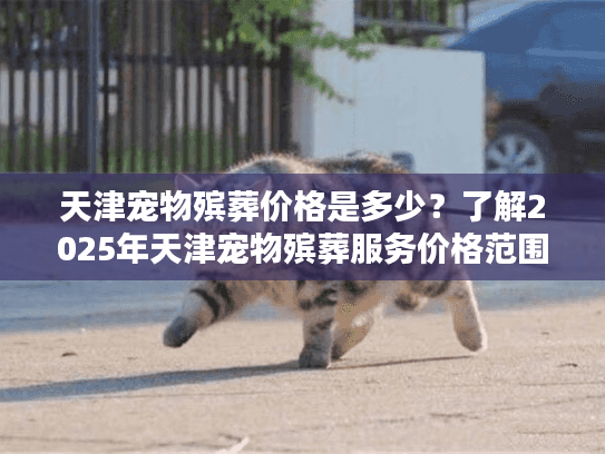 天津宠物殡葬价格是多少？了解2025年天津宠物殡葬服务价格范围