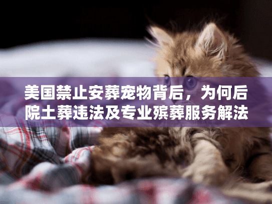 美国禁止安葬宠物背后,为何后院土葬违法及专业殡葬服务解法 美国禁止安葬宠物背后,为何后院土葬违法及专业殡葬服务解法