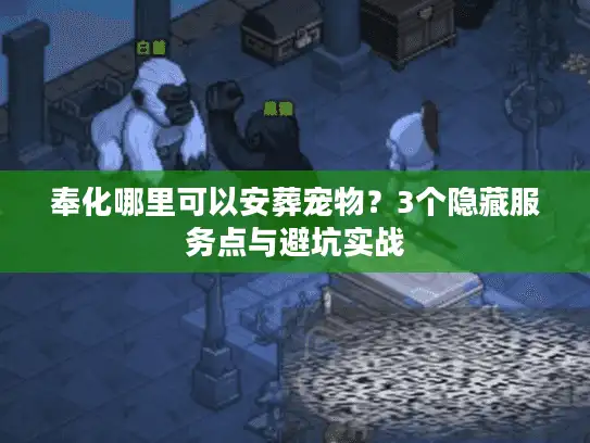 奉化哪里可以安葬宠物？3个隐藏服务点与避坑实战