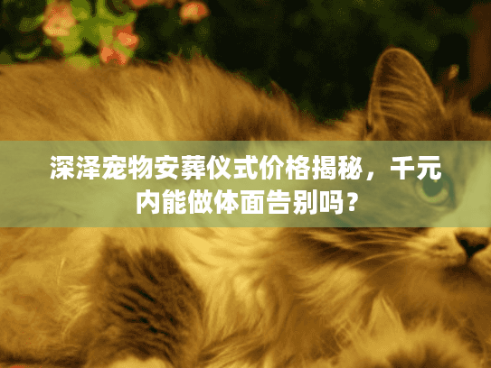 深泽宠物安葬仪式价格揭秘，千元内能做体面告别吗？