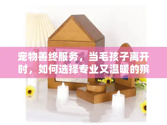 宠物善终服务，当毛孩子离开时，如何选择专业又温暖的殡葬方案？