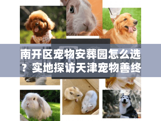 南开区宠物安葬园怎么选？实地探访天津宠物善终服务中心