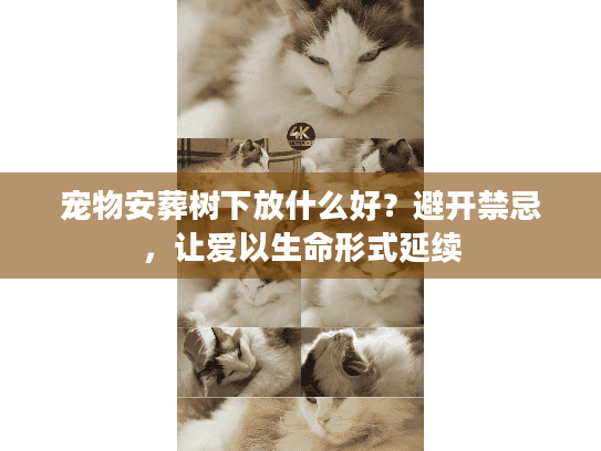 宠物安葬树下放什么好？避开禁忌，让爱以生命形式延续