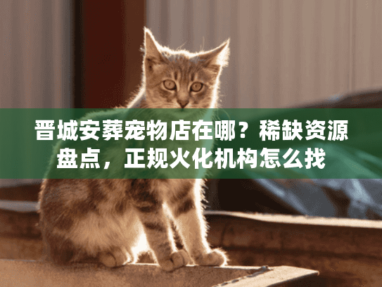 晋城安葬宠物店在哪？稀缺资源盘点，正规火化机构怎么找