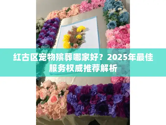 红古区宠物殡葬哪家好？2025年最佳服务权威推荐解析