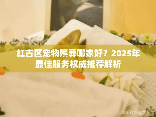 红古区宠物殡葬哪家好？2025年最佳服务权威推荐解析