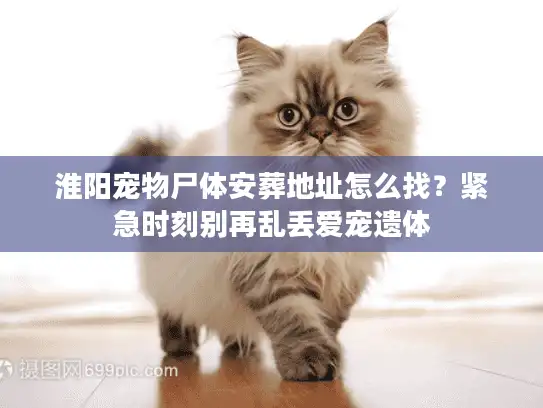 淮阳宠物尸体安葬地址怎么找?紧急时刻别再乱丢爱宠遗体 淮阳宠物尸体安葬地址怎么找?紧急时刻别再乱丢爱宠遗体