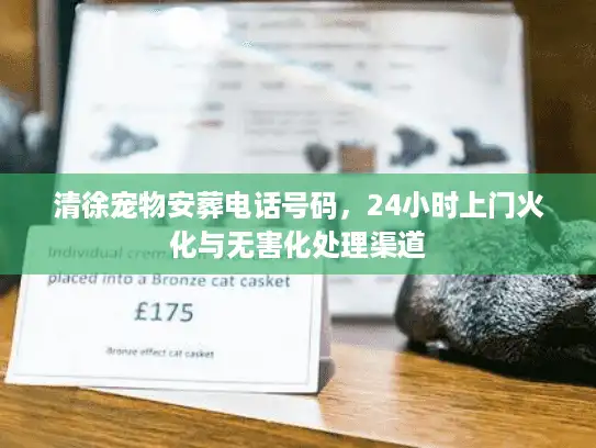 清徐宠物安葬电话号码，24小时上门火化与无害化处理渠道